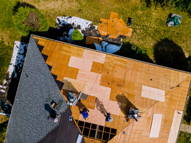 Best Commercial Roofing Services  in Montrose, CO