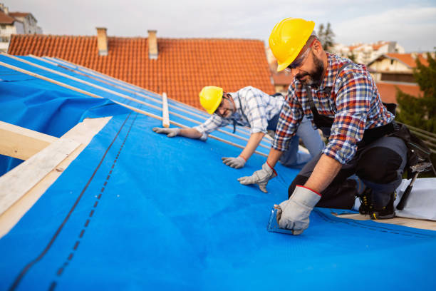 Best Roof Replacement Cost  in Montrose, CO