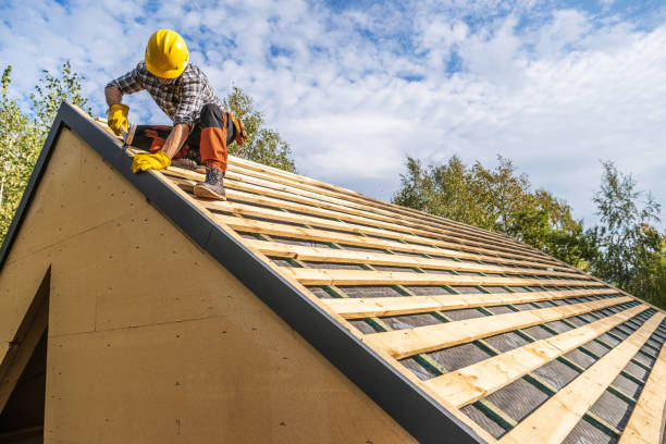 Best Roof Maintenance Services  in Montrose, CO