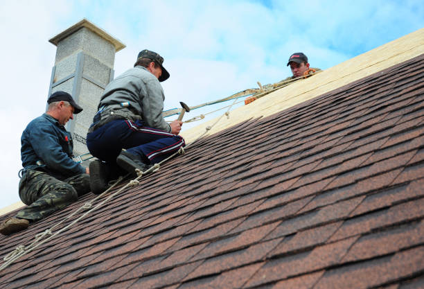 Best Local Roofing Companies  in Montrose, CO
